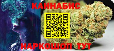 стафф Гай