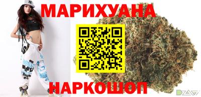 стафф Гай