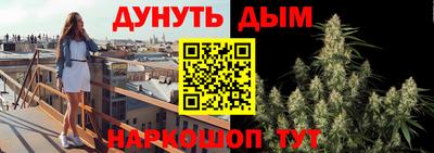 сатива Гатчина