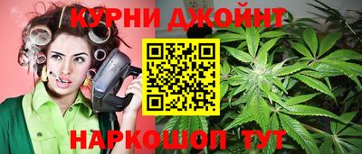 сатива Гатчина