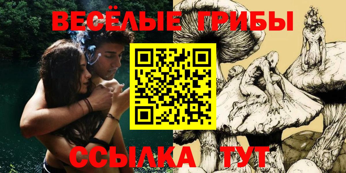 Псилоцибиновые грибы MAGIC MUSHROOMS Кострома
